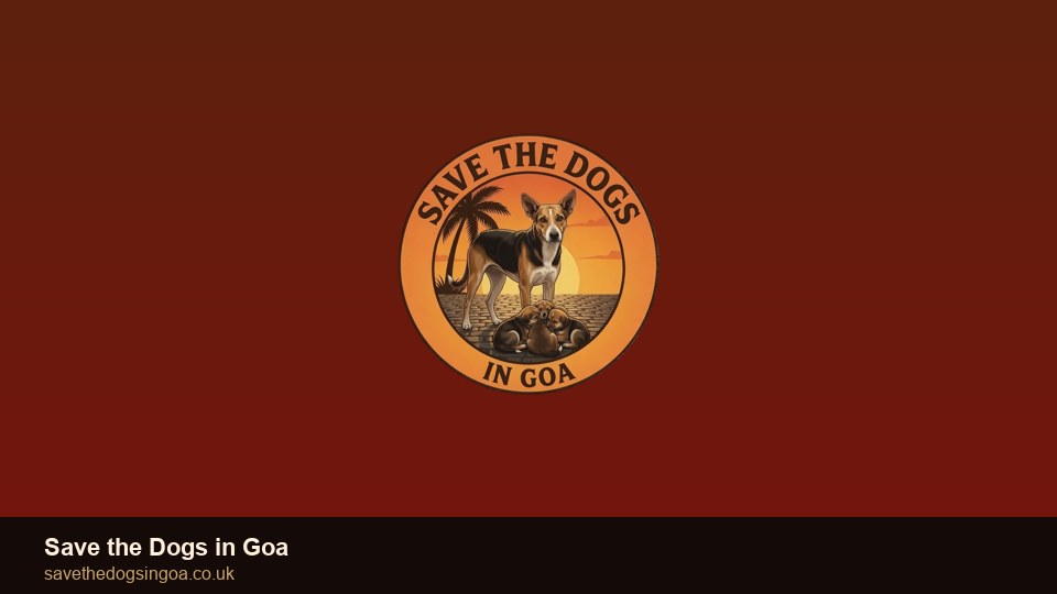 Save the Dogs in Goa
